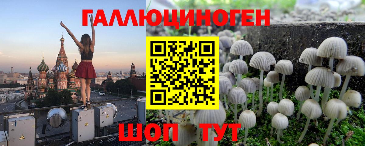 Псилоцибиновые грибы мухоморы  Вход с VPN  где купить   Псилоцибиновые грибы Magic Shrooms  Тавда 