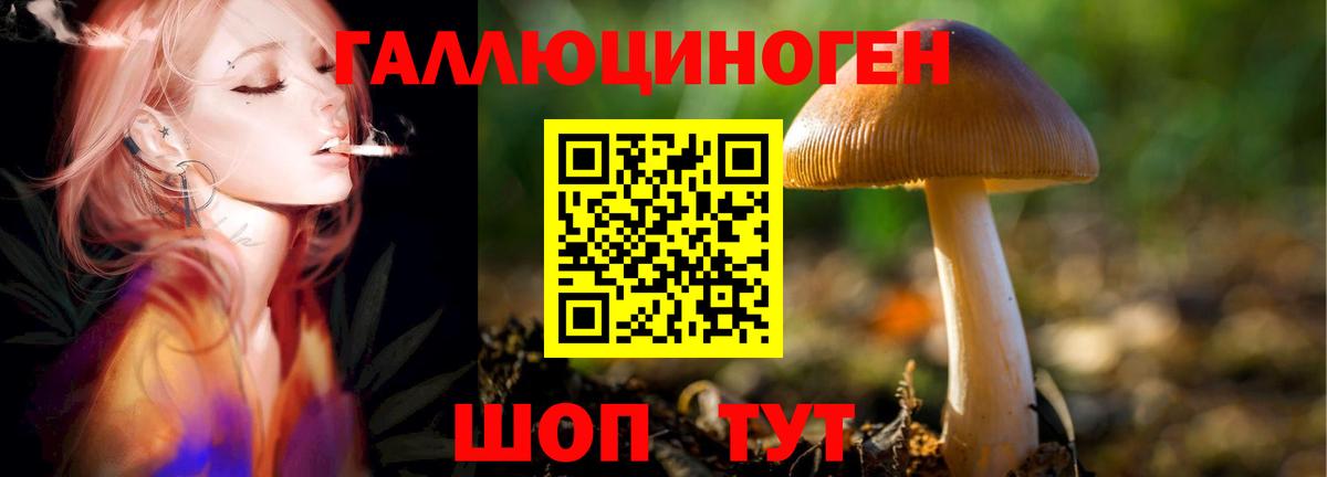 Псилоцибиновые грибы мухоморы Тавда